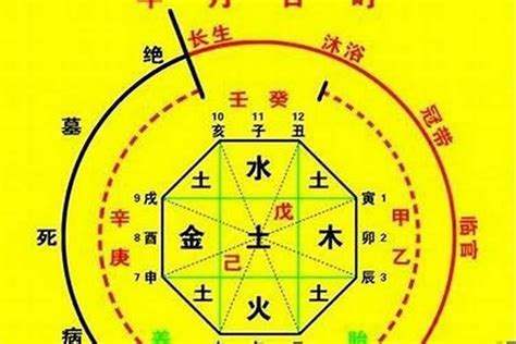 喜用神水的人特色|八字喜用神为水之人的特点